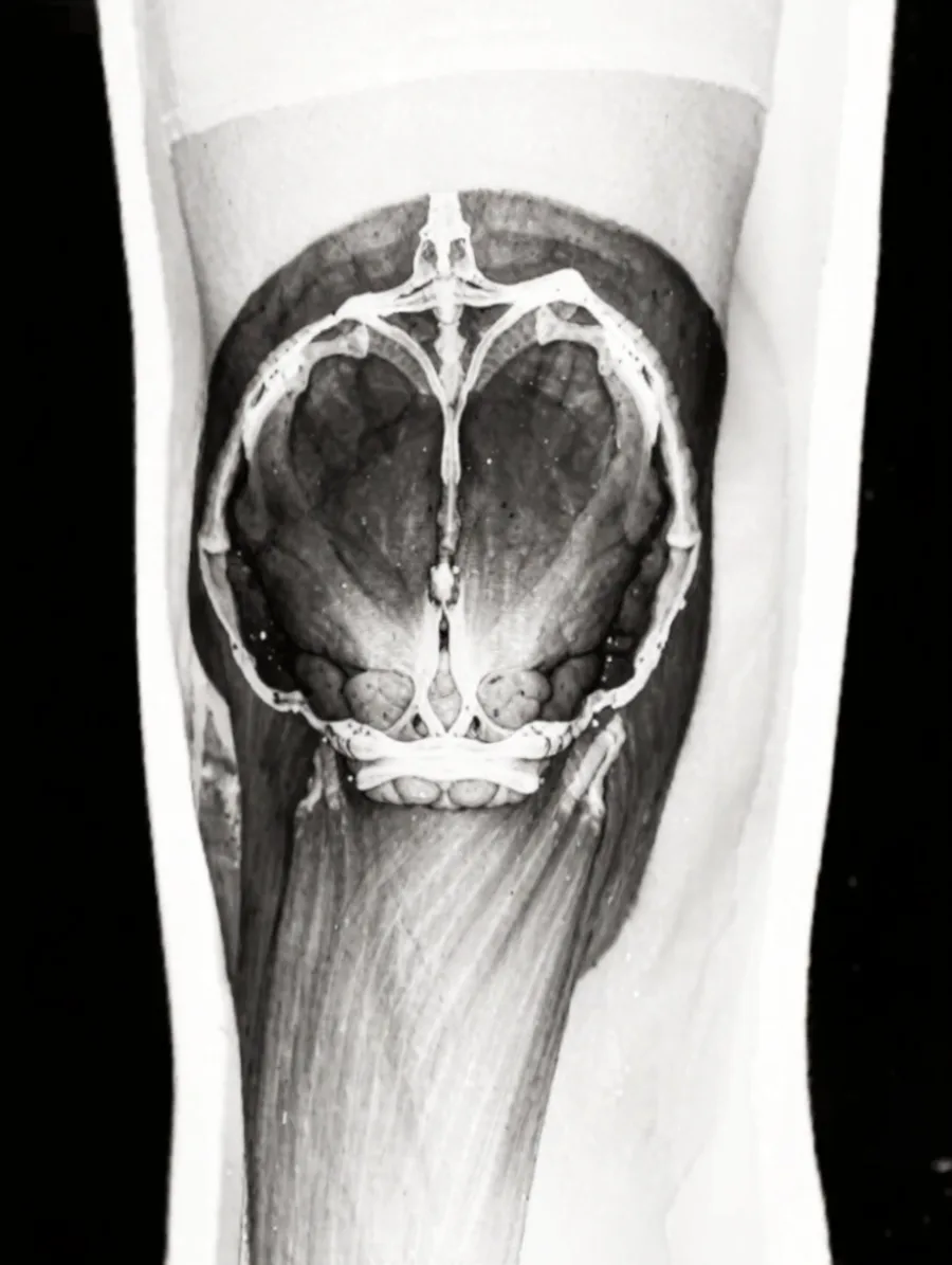 Generated cover illustrating illustrate an mri style concept.