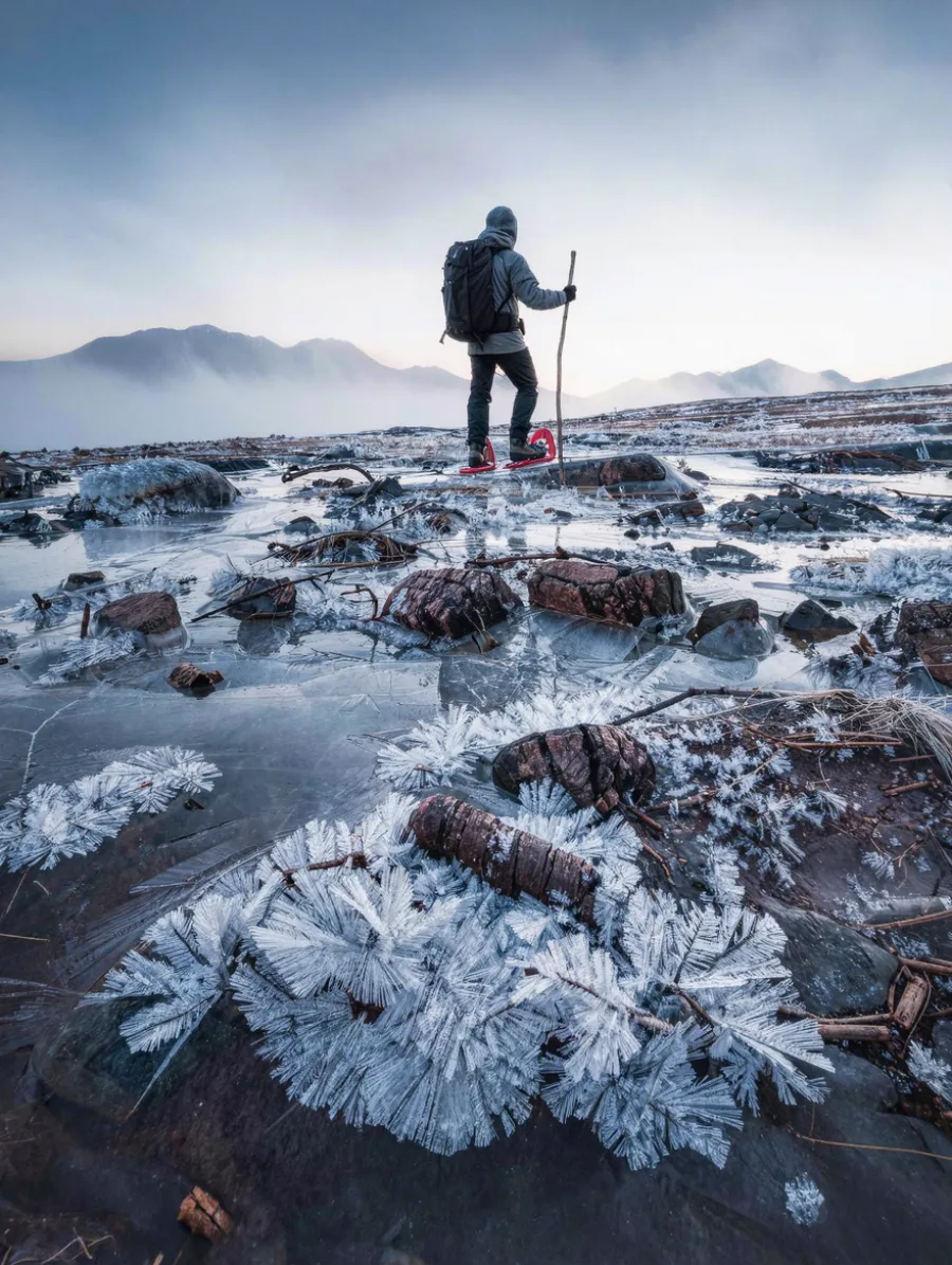 Generated cover illustrating frost.